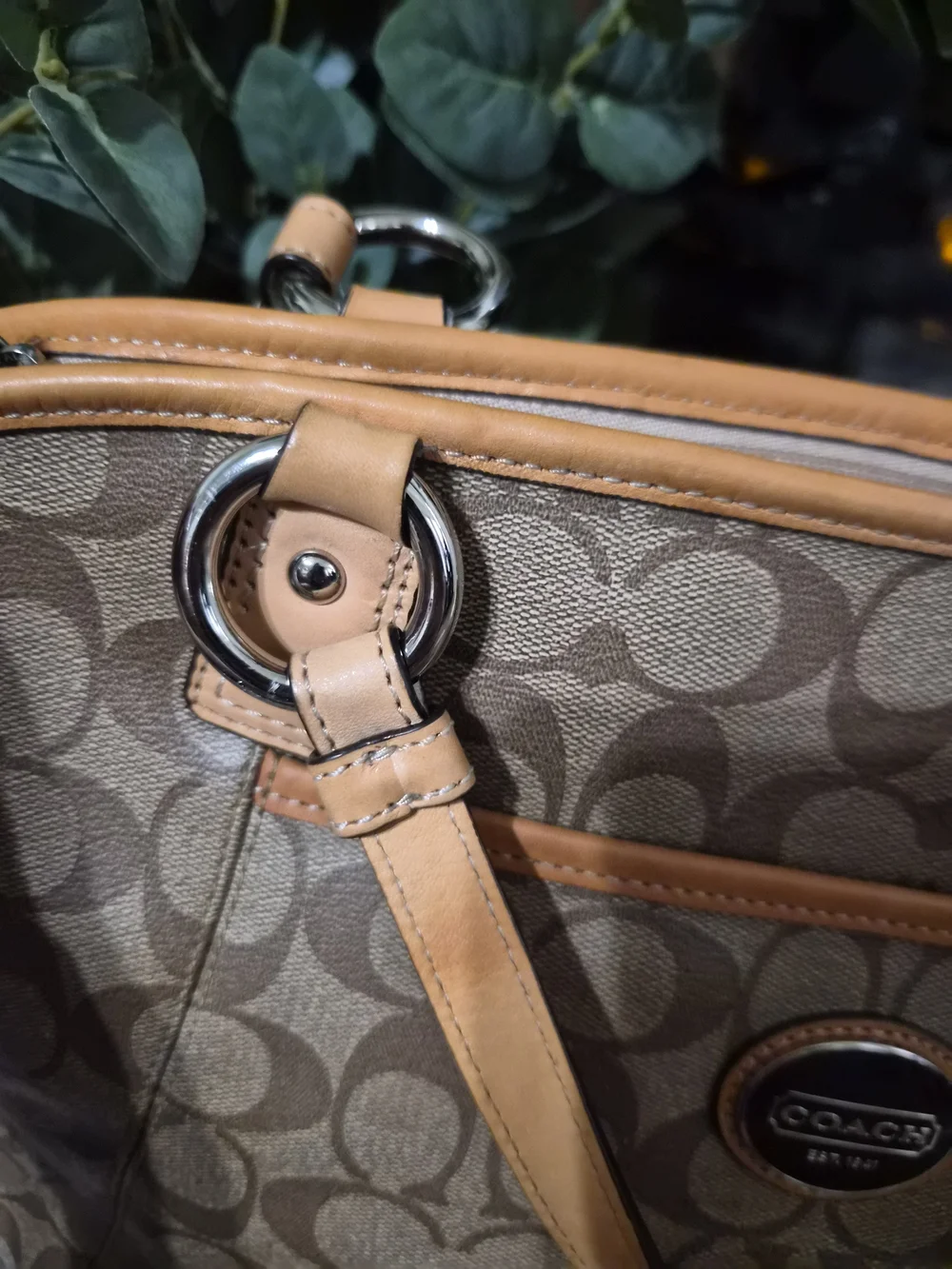 Coach Signature Canvas Tote in Tan and Brown